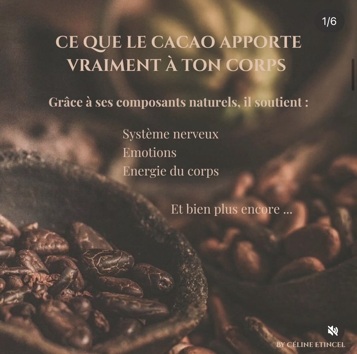 Ce que le cacao apporte vraiment à ton corps — fèves de cacao